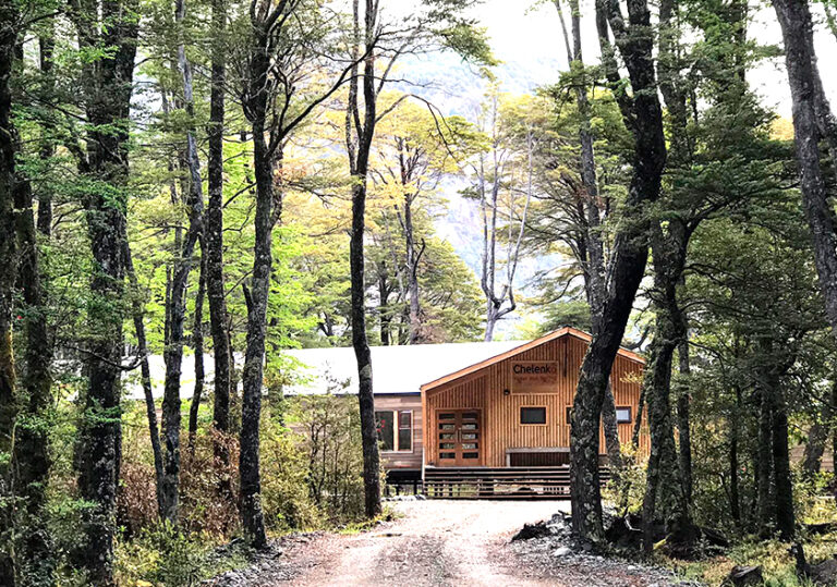 Access road to Chelenko Hot Springs and Lodge through native forest